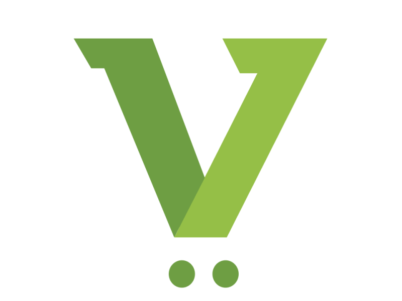 Shopify Store Development Services
