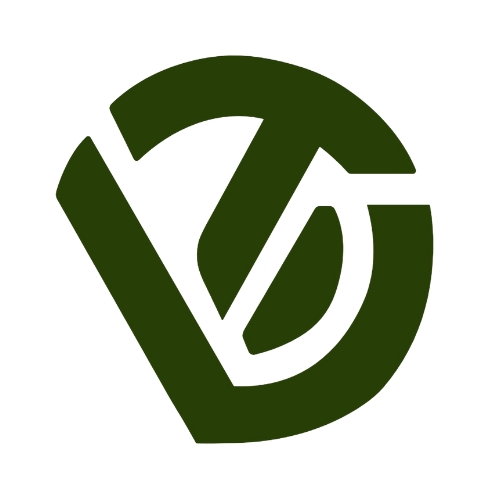 DigitallyTop - Best Digital Marketing Agency